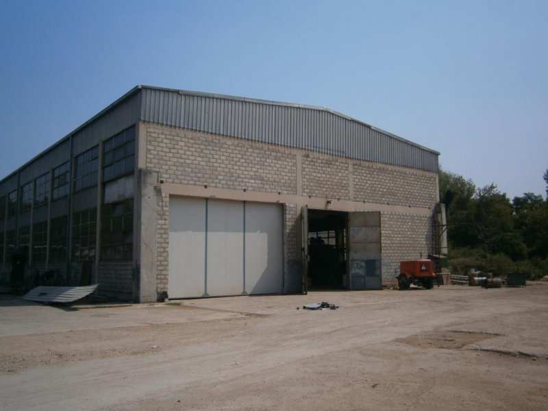 image p8230866-jpg